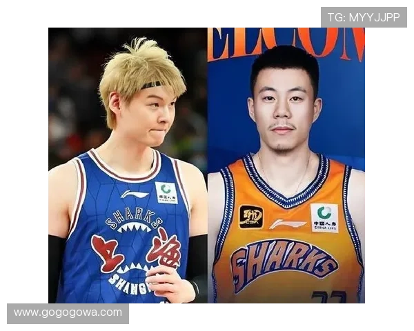 中国男篮迎战欧洲劲旅,王哲林领衔全力冲击奥运资格 中国男篮迎战欧洲劲旅,王哲林领衔全力冲击奥运资格