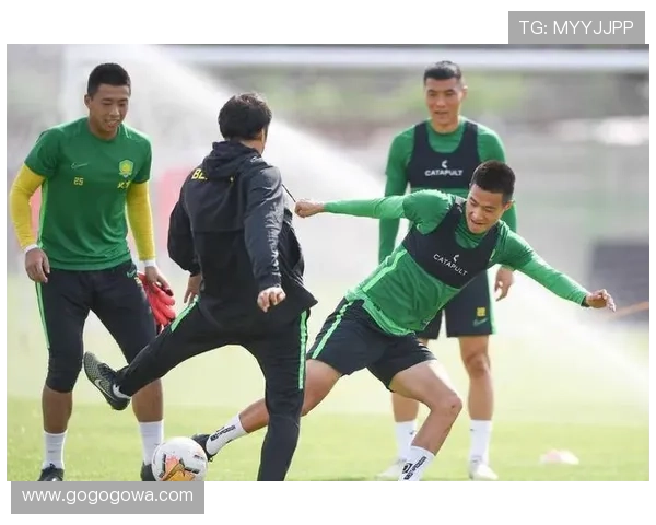 国家队新周期备战启动多项赛事密集推进引发关注球迷热议教练团队调整